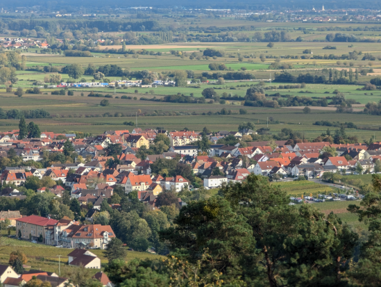 Rhodt, rund um Edenkoben,
13. Oktober 2024